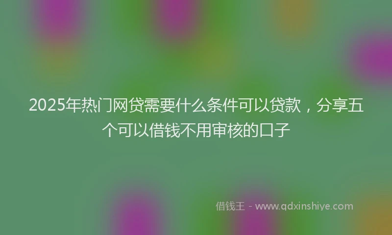 2025年热门网贷需要什么条件可以贷款，分享五个可以借钱不用审核的口子