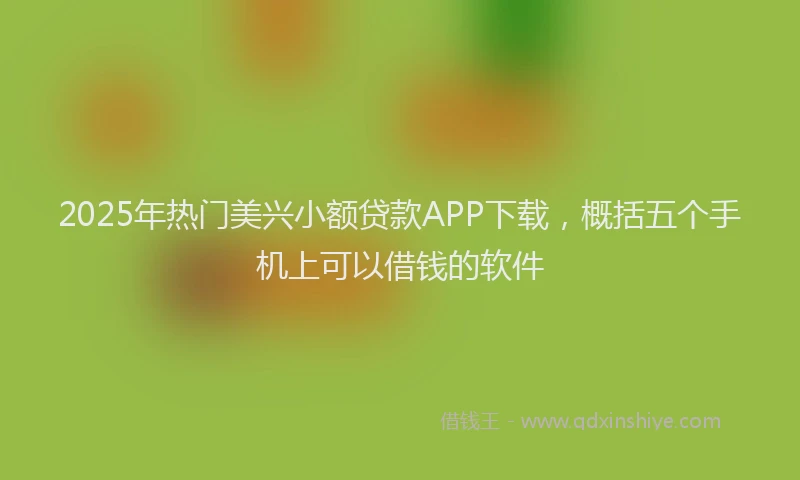 2025年热门美兴小额贷款APP下载，概括五个手机上可以借钱的软件