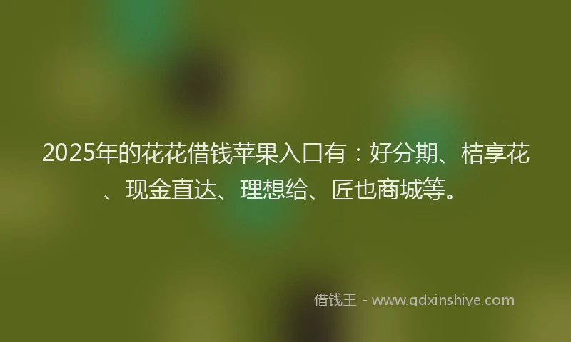 2025年的花花借钱苹果入口有：好分期、桔享花、现金直达、理想给、匠也商城等。