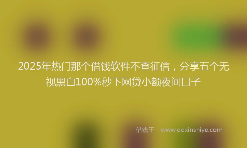 2025年热门那个借钱软件不查征信，分享五个无视黑白100%秒下网贷小额夜间口子