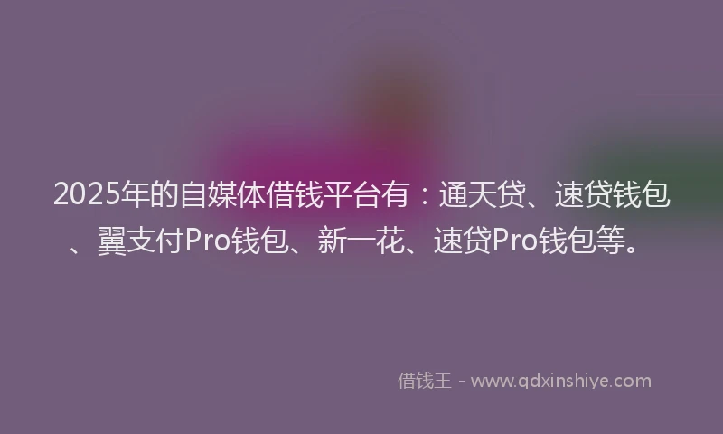 2025年的自媒体借钱平台有：通天贷、速贷钱包、翼支付Pro钱包、新一花、速贷Pro钱包等。