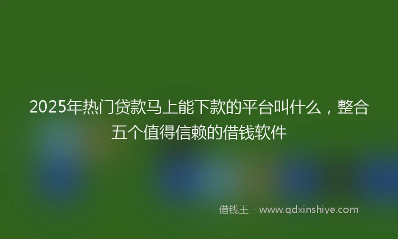 2025年热门贷款马上能下款的平台叫什么，整合五个值得信赖的借钱软件