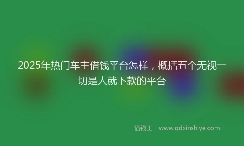 2025年热门车主借钱平台怎样,概括五个无视一切是人就下款的平台