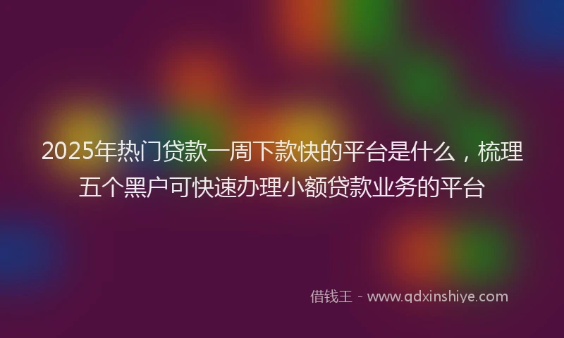 2025年热门贷款一周下款快的平台是什么，梳理五个黑户可快速办理小额贷款业务的平台