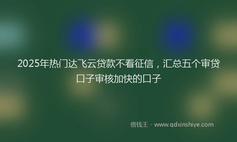 2025年热门达飞云贷款不看征信，汇总五个审贷口子审核加快的口子