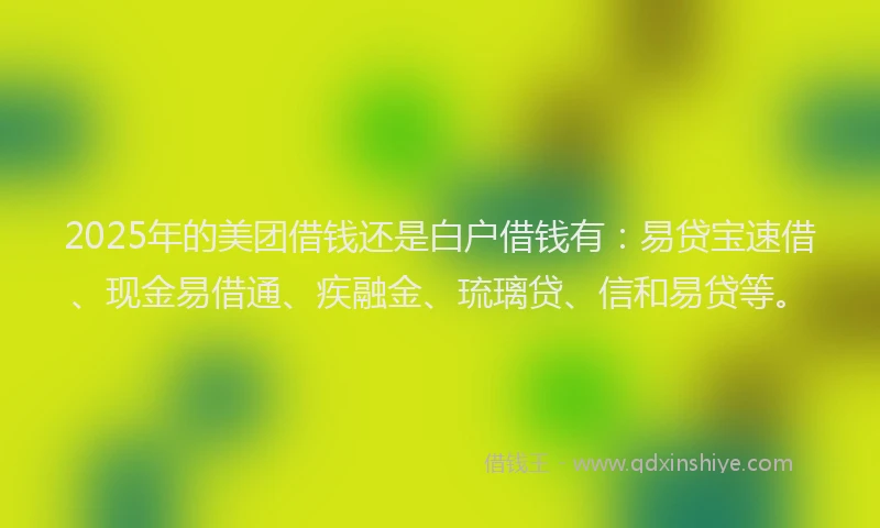 2025年的美团借钱还是白户借钱有：易贷宝速借、现金易借通、疾融金、琉璃贷、信和易贷等。