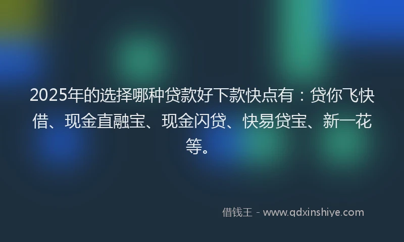 2025年的选择哪种贷款好下款快点有：贷你飞快借、现金直融宝、现金闪贷、快易贷宝、新一花等。