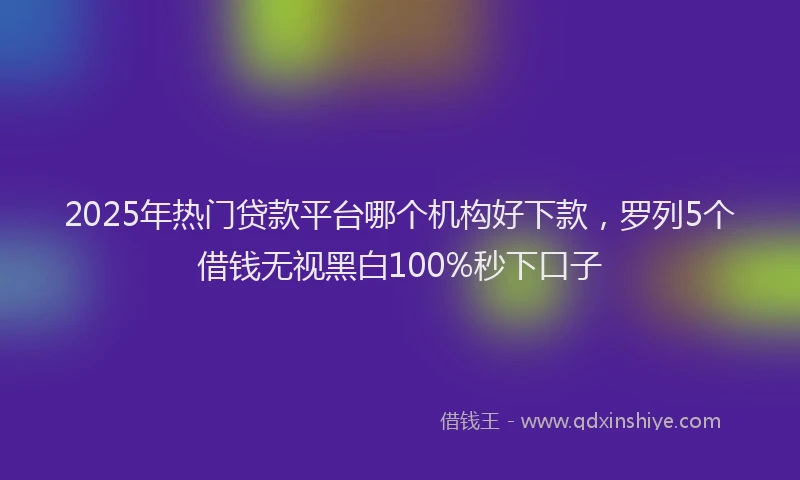 2025年热门贷款平台哪个机构好下款，罗列5个借钱无视黑白100%秒下口子