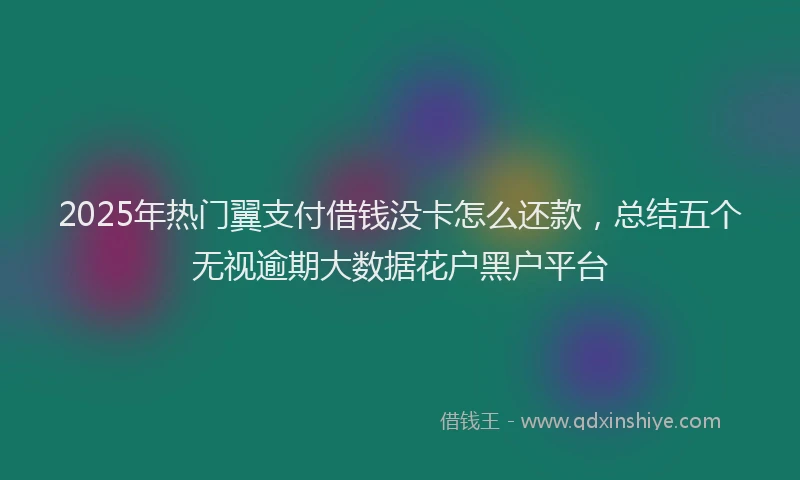 2025年热门翼支付借钱没卡怎么还款，总结五个无视逾期大数据花户黑户平台