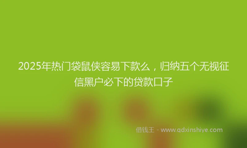 2025年热门袋鼠侠容易下款么，归纳五个无视征信黑户必下的贷款口子