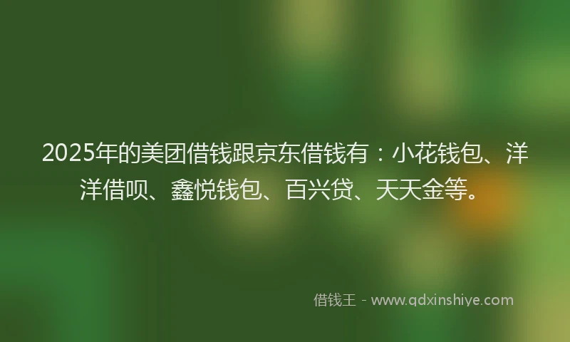 2025年的美团借钱跟京东借钱有：小花钱包、洋洋借呗、鑫悦钱包、百兴贷、天天金等。