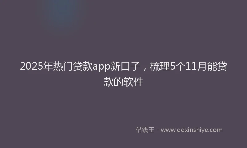 2025年热门贷款app新口子，梳理5个11月能贷款的软件