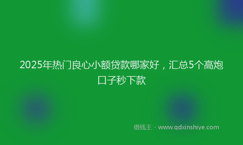 2025年热门良心小额贷款哪家好，汇总5个高炮口子秒下款