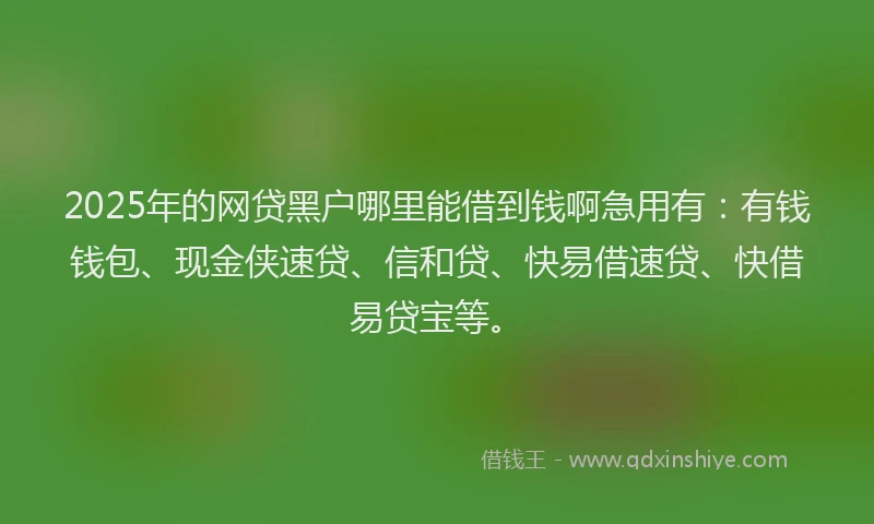 2025年的网贷黑户哪里能借到钱啊急用有：有钱钱包、现金侠速贷、信和贷、快易借速贷、快借易贷宝等。