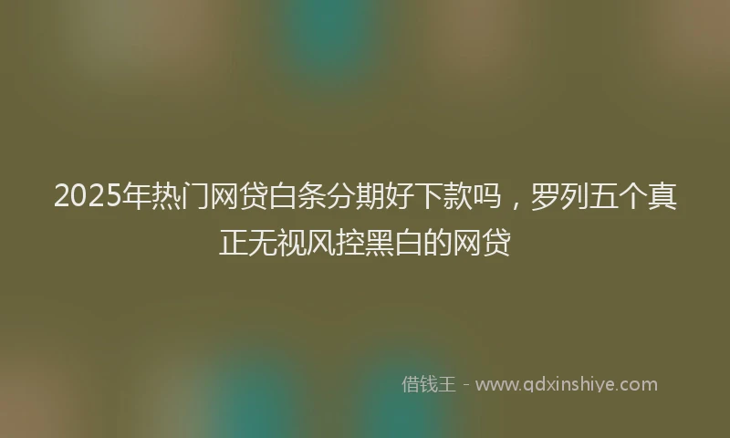 2025年热门网贷白条分期好下款吗，罗列五个真正无视风控黑白的网贷