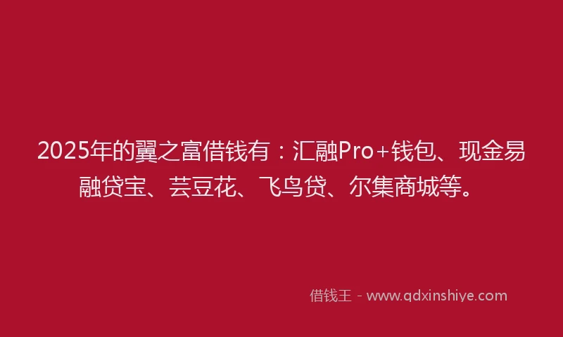 2025年的翼之富借钱有：汇融Pro+钱包、现金易融贷宝、芸豆花、飞鸟贷、尔集商城等。