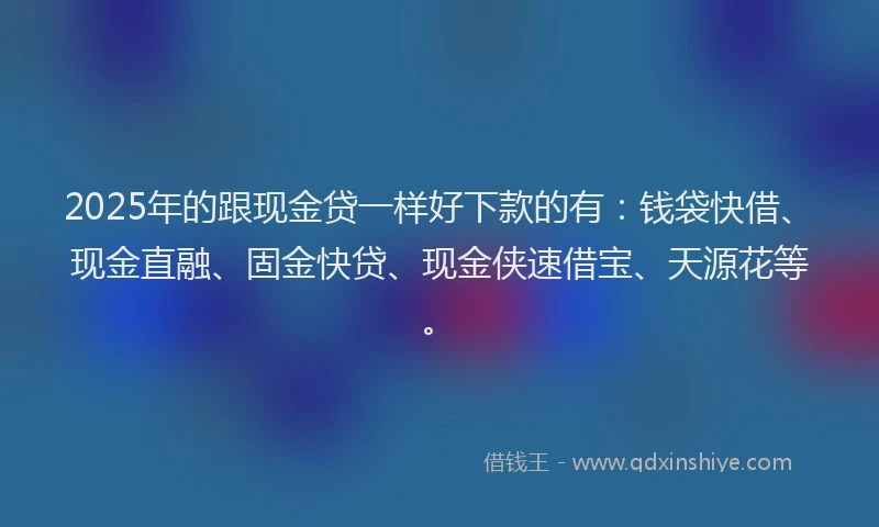 2025年的跟现金贷一样好下款的有：钱袋快借、现金直融、固金快贷、现金侠速借宝、天源花等。