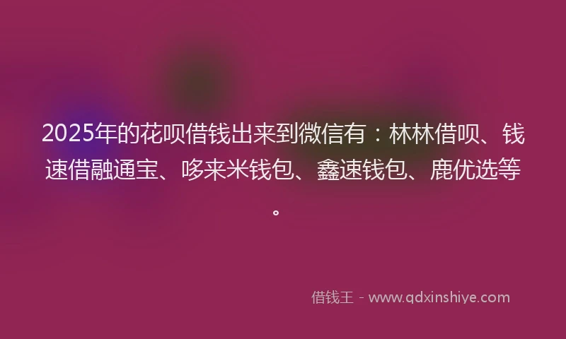 2025年的花呗借钱出来到微信有：林林借呗、钱速借融通宝、哆来米钱包、鑫速钱包、鹿优选等。