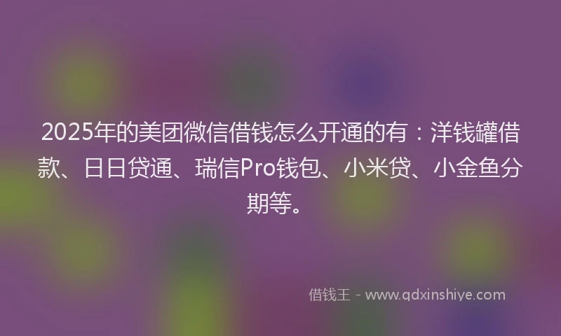 2025年的美团微信借钱怎么开通的有：洋钱罐借款、日日贷通、瑞信Pro钱包、小米贷、小金鱼分期等。