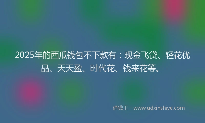 2025年的西瓜钱包不下款有：现金飞贷、轻花优品、天天盈、时代花、钱来花等。
