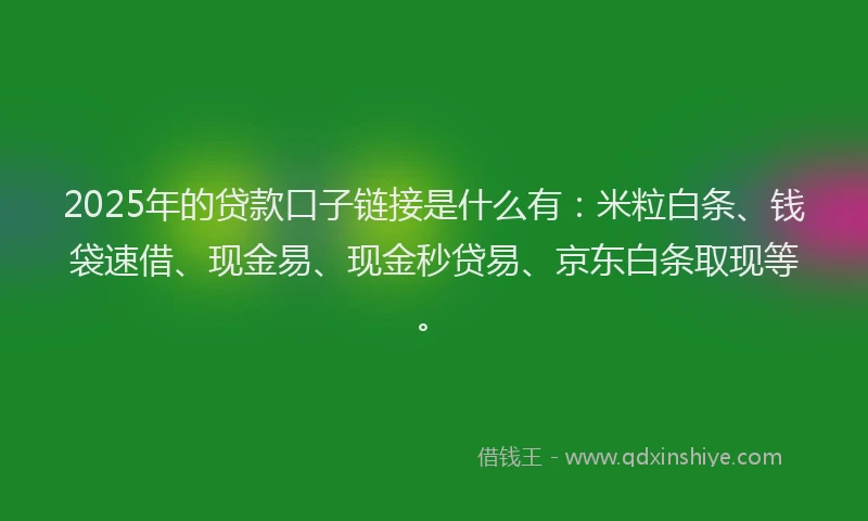 2025年的贷款口子链接是什么有：米粒白条、钱袋速借、现金易、现金秒贷易、京东白条取现等。