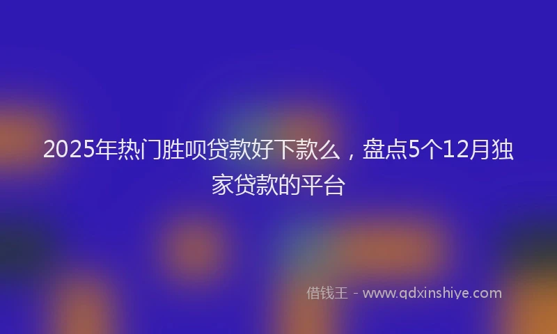 2025年热门胜呗贷款好下款么，盘点5个12月独家贷款的平台