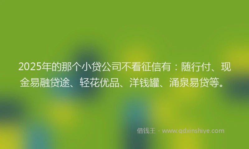 2025年的那个小贷公司不看征信有：随行付、现金易融贷途、轻花优品、洋钱罐、涌泉易贷等。