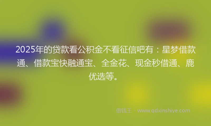 2025年的贷款看公积金不看征信吧有：星梦借款通、借款宝快融通宝、全金花、现金秒借通、鹿优选等。