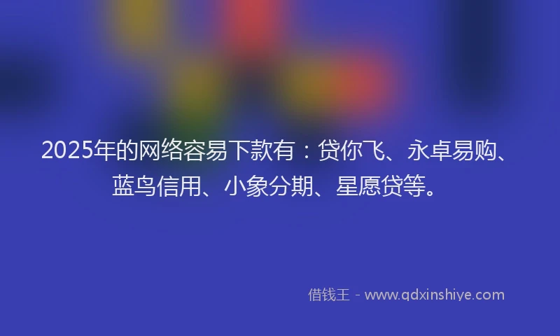 2025年的网络容易下款有：贷你飞、永卓易购、蓝鸟信用、小象分期、星愿贷等。