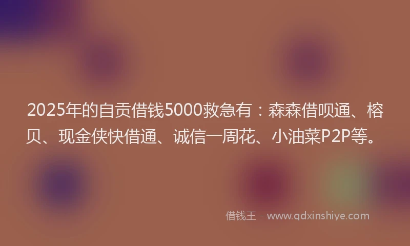 2025年的自贡借钱5000救急有：森森借呗通、榕贝、现金侠快借通、诚信一周花、小油菜P2P等。