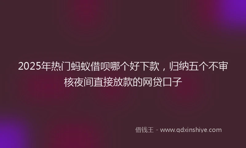 2025年热门蚂蚁借呗哪个好下款，归纳五个不审核夜间直接放款的网贷口子