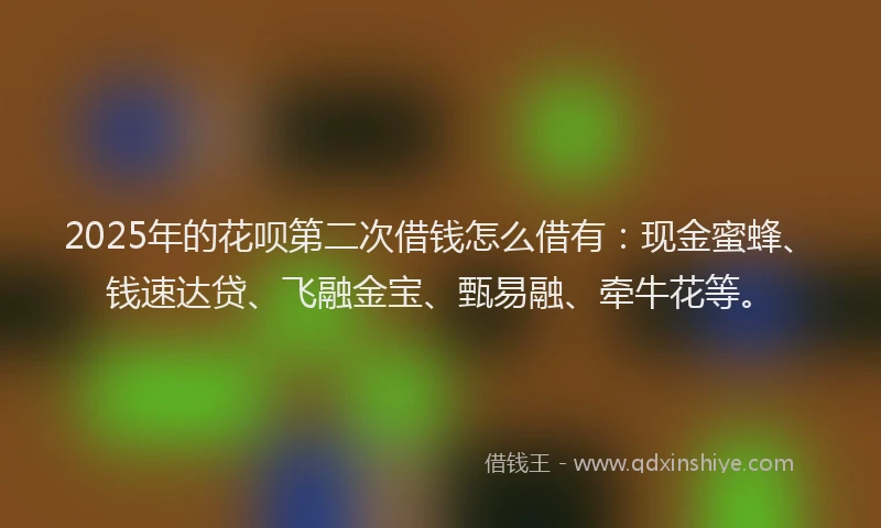 2025年的花呗第二次借钱怎么借有：现金蜜蜂、钱速达贷、飞融金宝、甄易融、牵牛花等。