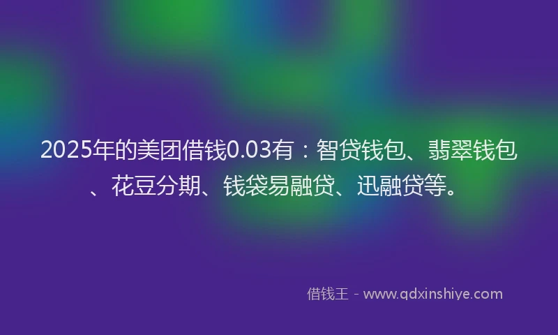 2025年的美团借钱0.03有：智贷钱包、翡翠钱包、花豆分期、钱袋易融贷、迅融贷等。