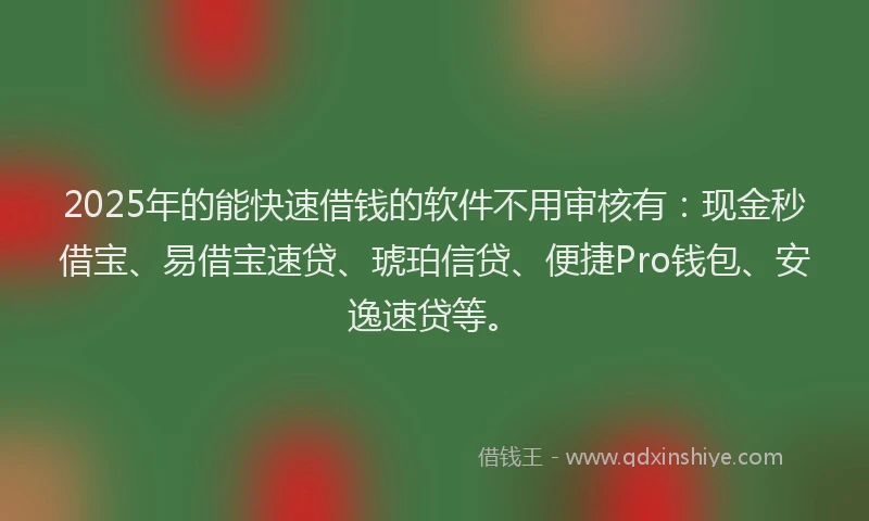 2025年的能快速借钱的软件不用审核有：现金秒借宝、易借宝速贷、琥珀信贷、便捷Pro钱包、安逸速贷等。