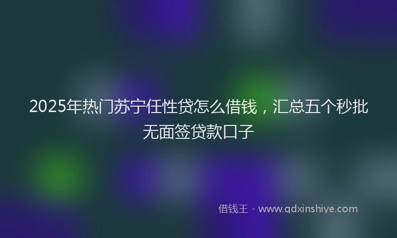 2025年热门苏宁任性贷怎么借钱，汇总五个秒批无面签贷款口子