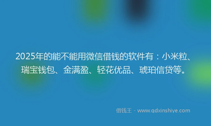 2025年的能不能用微信借钱的软件有：小米粒、瑞宝钱包、金满盈、轻花优品、琥珀信贷等。