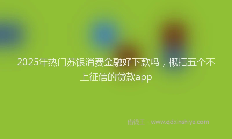 2025年热门苏银消费金融好下款吗，概括五个不上征信的贷款app