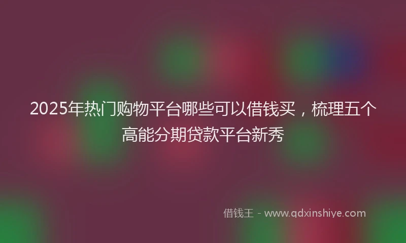 2025年热门购物平台哪些可以借钱买，梳理五个高能分期贷款平台新秀