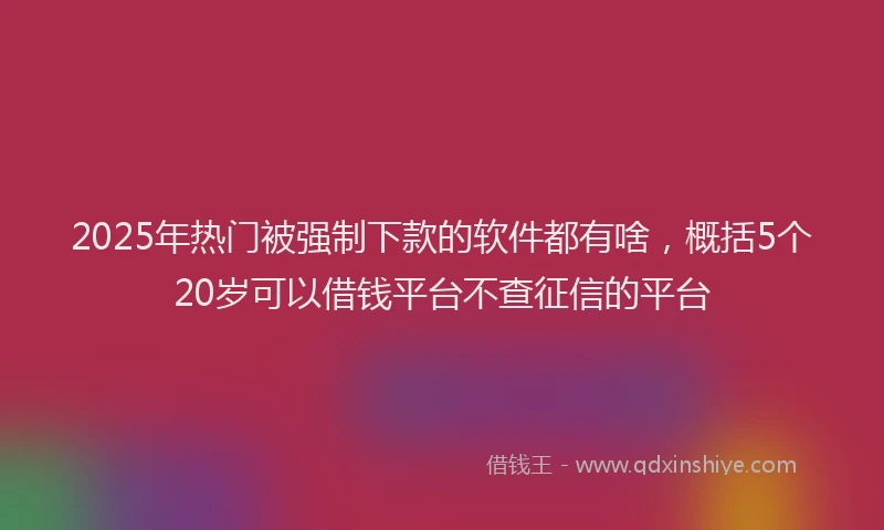 2025年热门被强制下款的软件都有啥，概括5个20岁可以借钱平台不查征信的平台