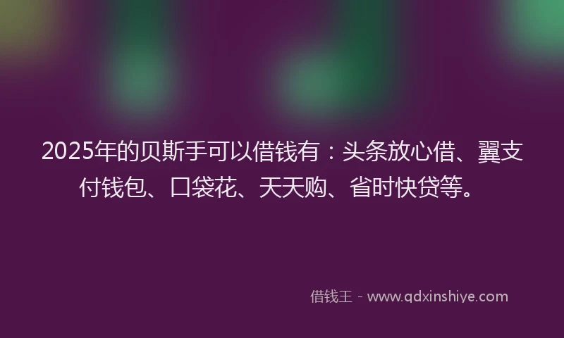 2025年的贝斯手可以借钱有：头条放心借、翼支付钱包、口袋花、天天购、省时快贷等。