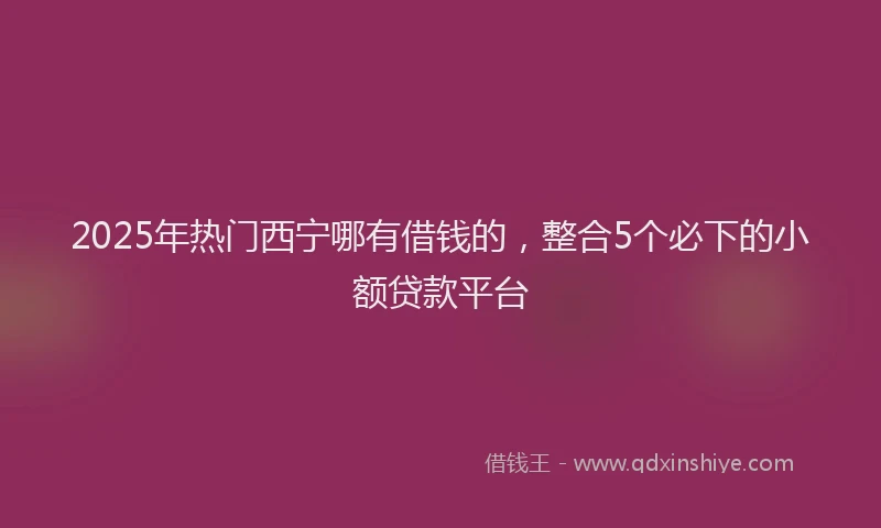 2025年热门西宁哪有借钱的，整合5个必下的小额贷款平台