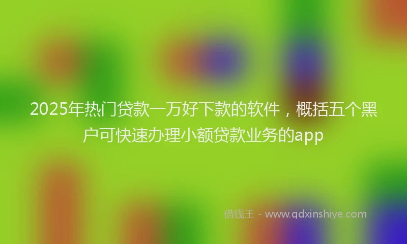 2025年热门贷款一万好下款的软件，概括五个黑户可快速办理小额贷款业务的app