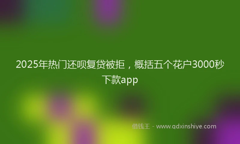 2025年热门还呗复贷被拒，概括五个花户3000秒下款app