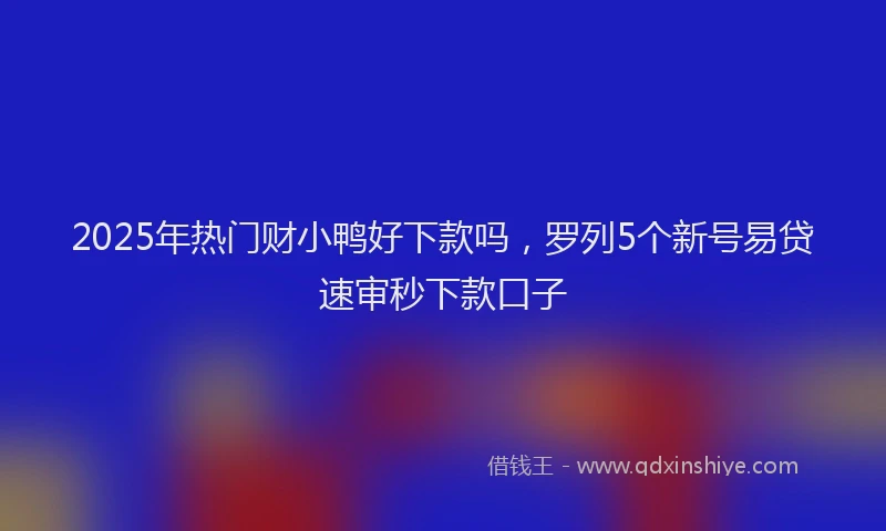 2025年热门财小鸭好下款吗，罗列5个新号易贷速审秒下款口子