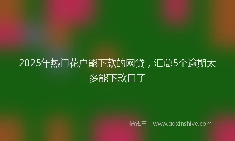 2025年热门花户能下款的网贷，汇总5个逾期太多能下款口子