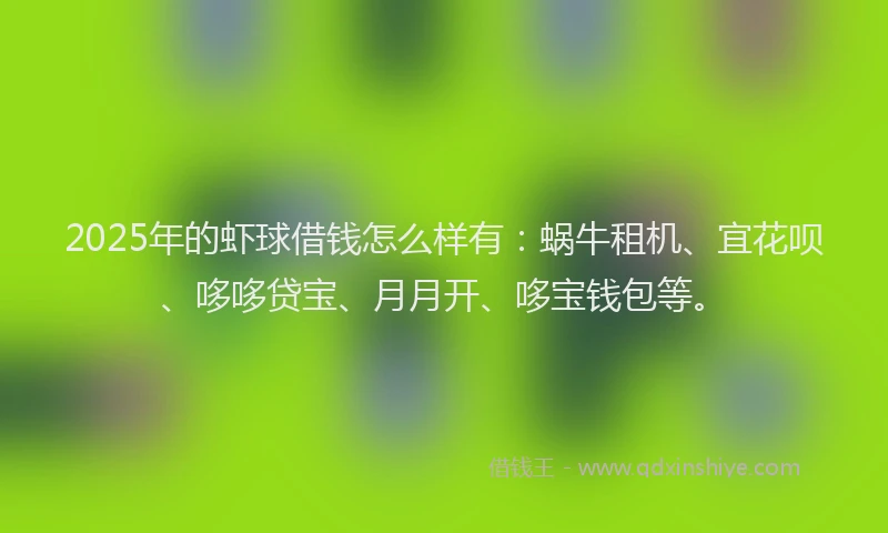 2025年的虾球借钱怎么样有：蜗牛租机、宜花呗、哆哆贷宝、月月开、哆宝钱包等。