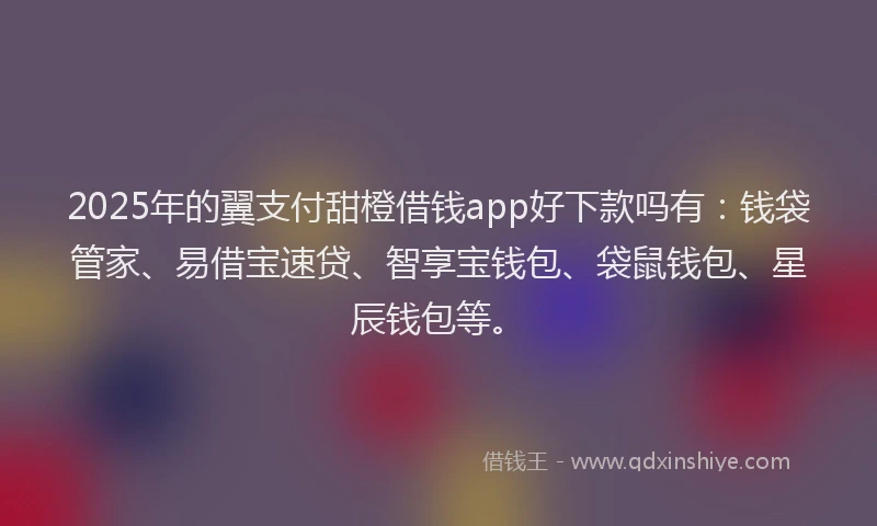 2025年的翼支付甜橙借钱app好下款吗有：钱袋管家、易借宝速贷、智享宝钱包、袋鼠钱包、星辰钱包等。