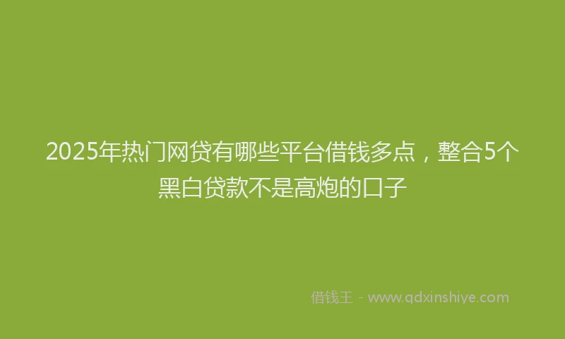 2025年热门网贷有哪些平台借钱多点，整合5个黑白贷款不是高炮的口子