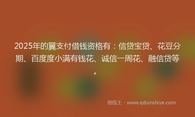 2025年的翼支付借钱资格有：信贷宝贷、花豆分期、百度度小满有钱花、诚信一周花、融信贷等。