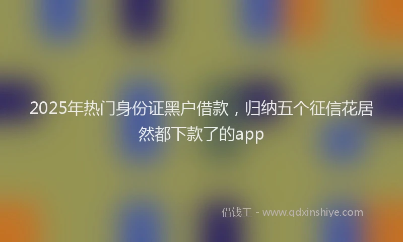 2025年热门身份证黑户借款，归纳五个征信花居然都下款了的app